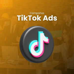 TikTok Ads